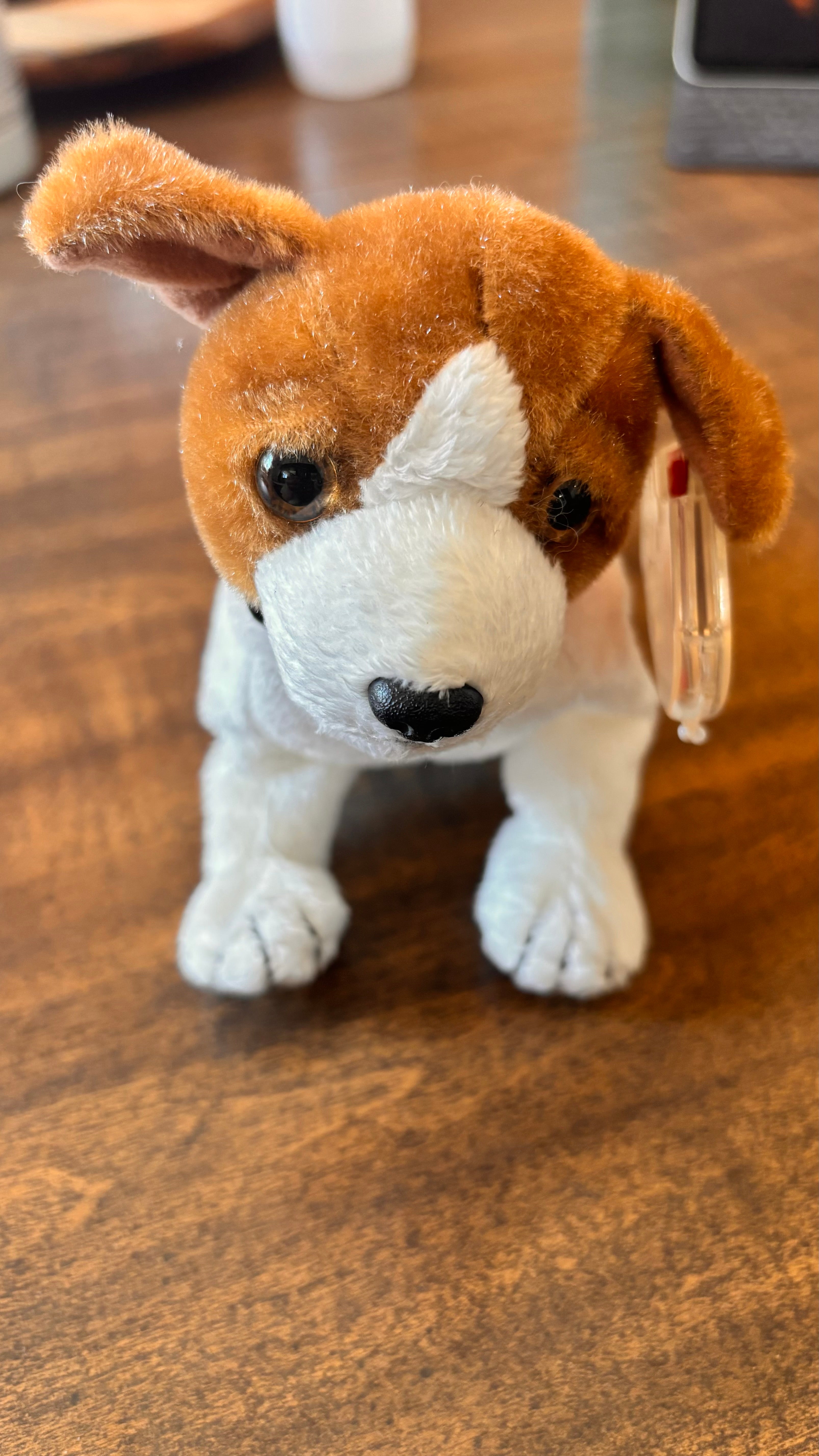 Kippy beanie baby