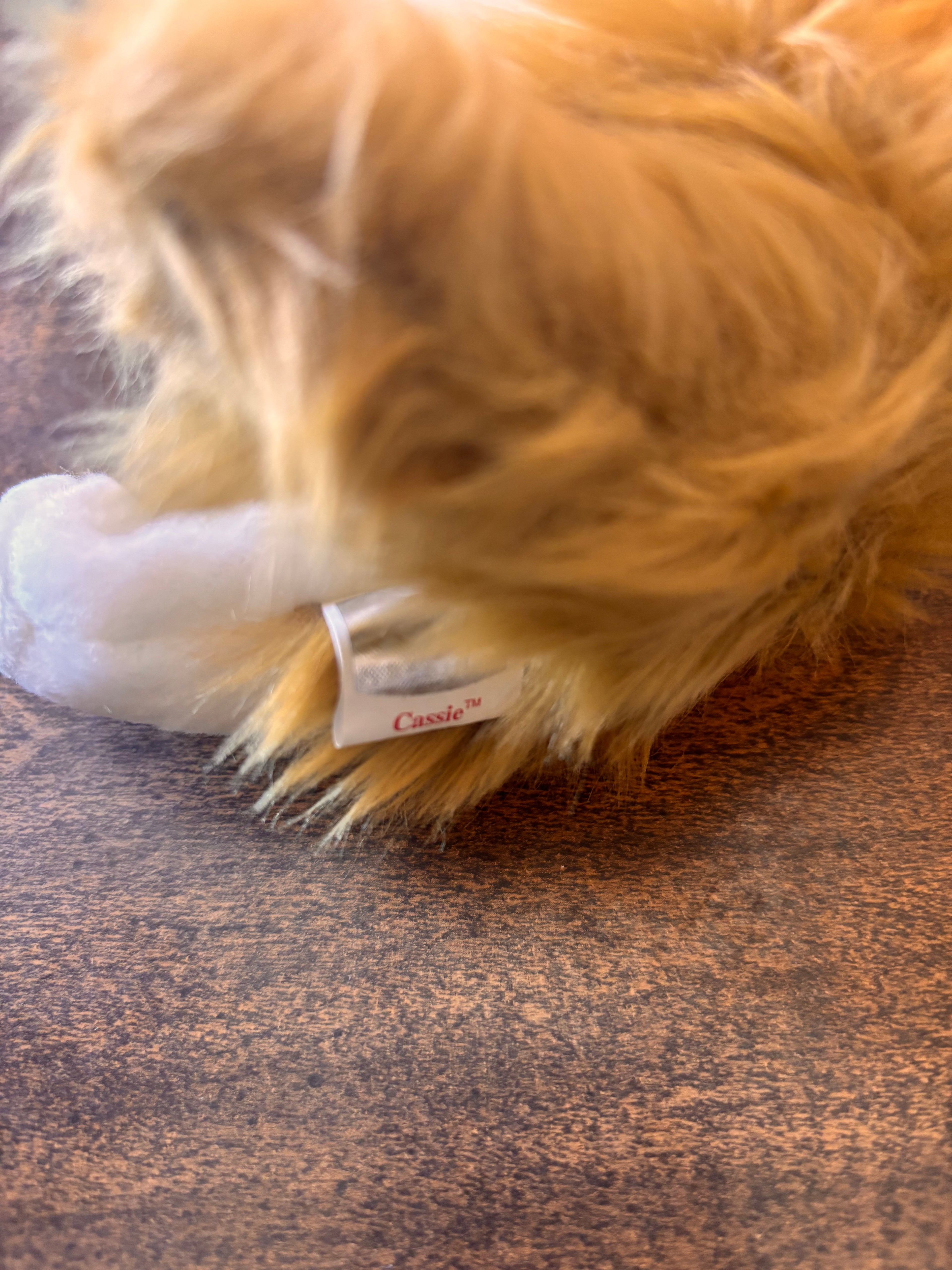 Cassie Beanie Baby