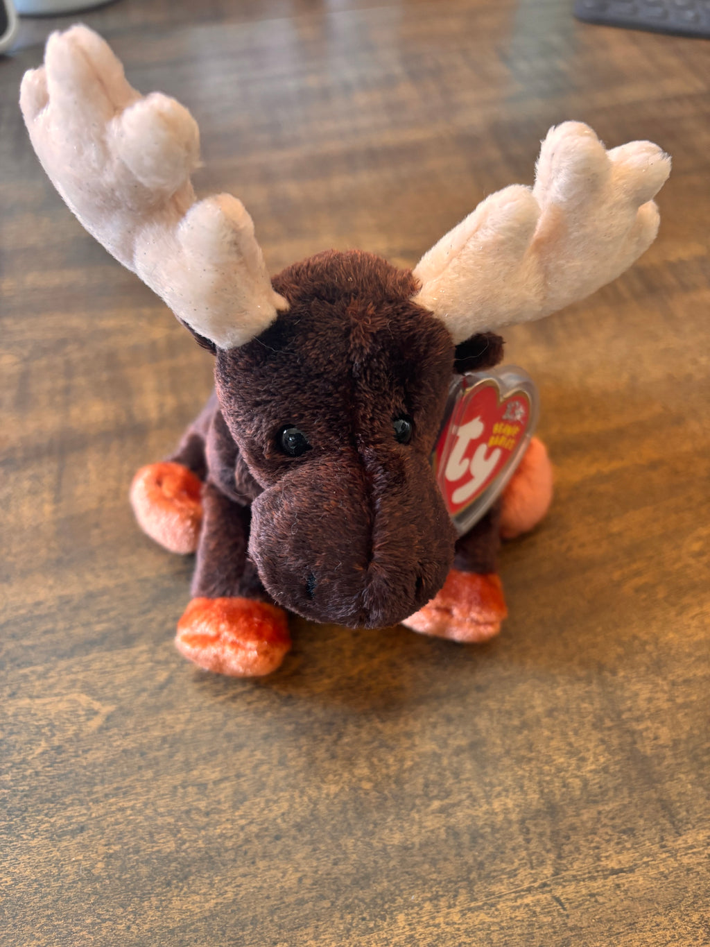 Zeus the moose Beanie Baby