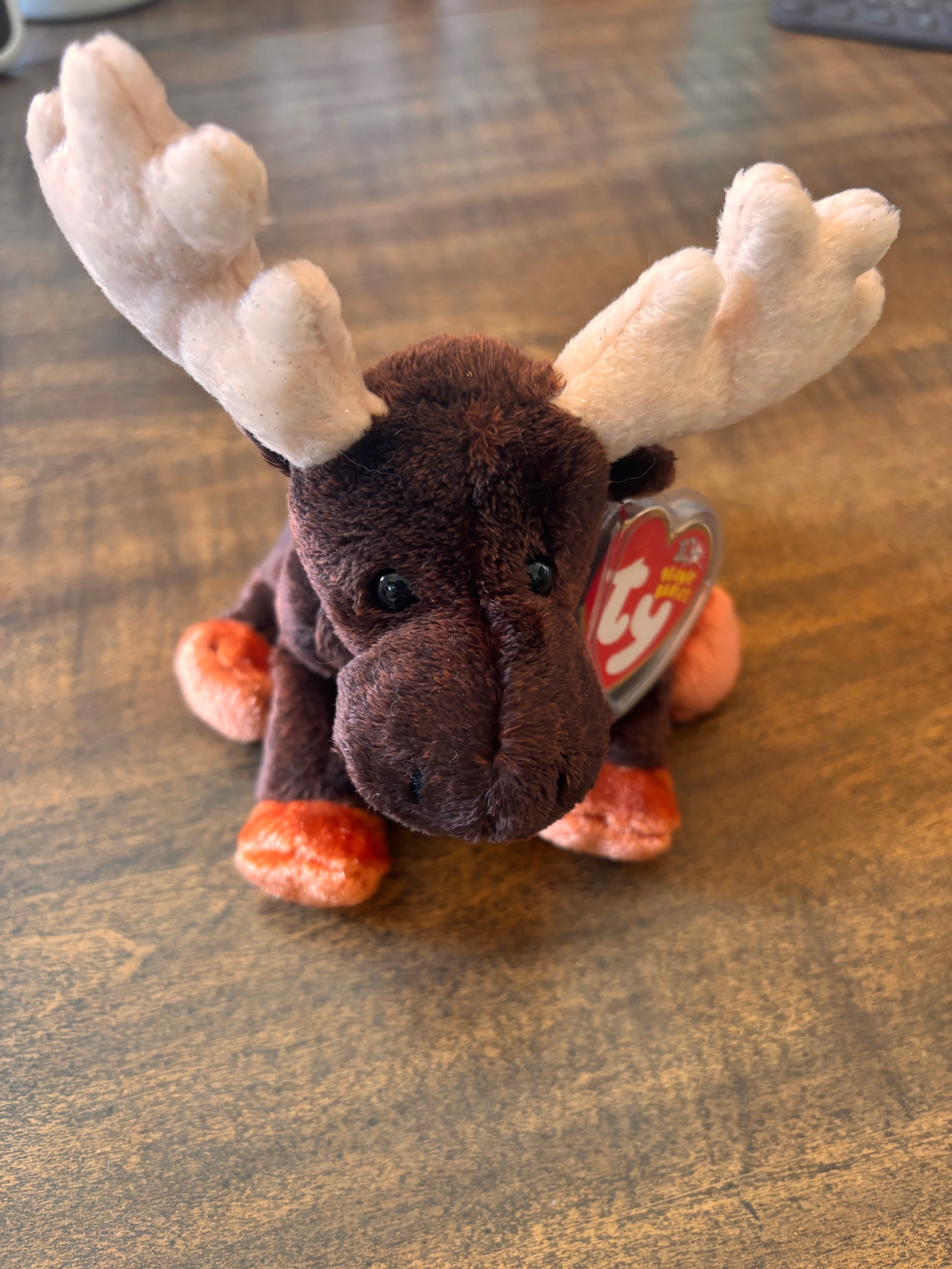 Zeus the moose Beanie Baby