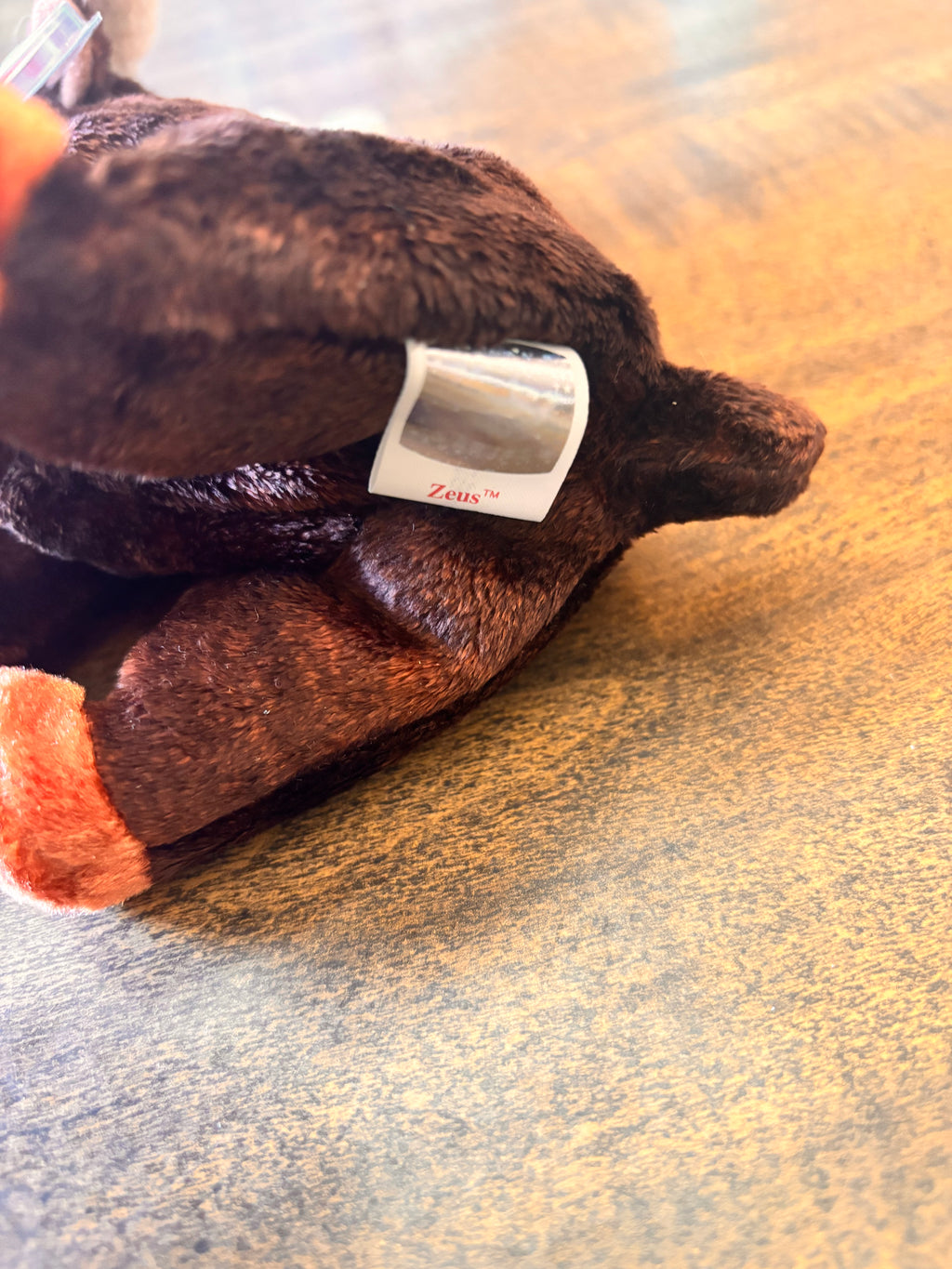 Zeus the moose Beanie Baby