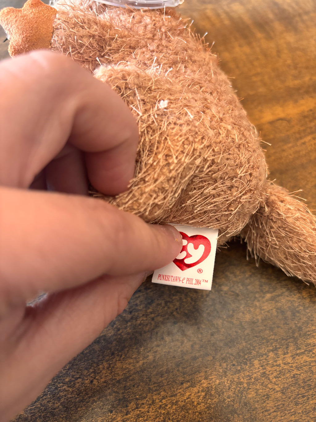 Punxsutawn-e Phil 2004 beanie baby