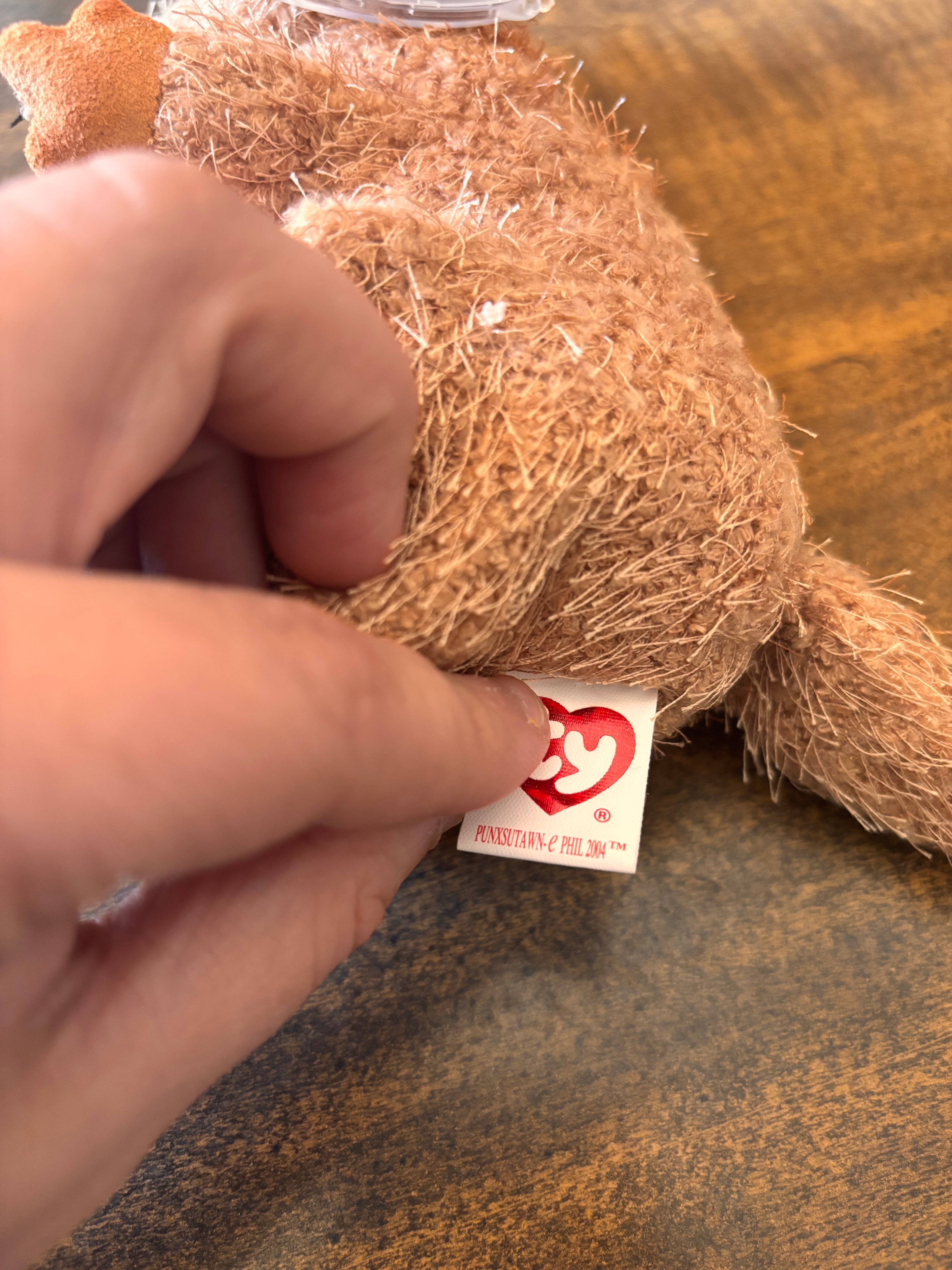 Punxsutawn-e Phil 2004 beanie baby