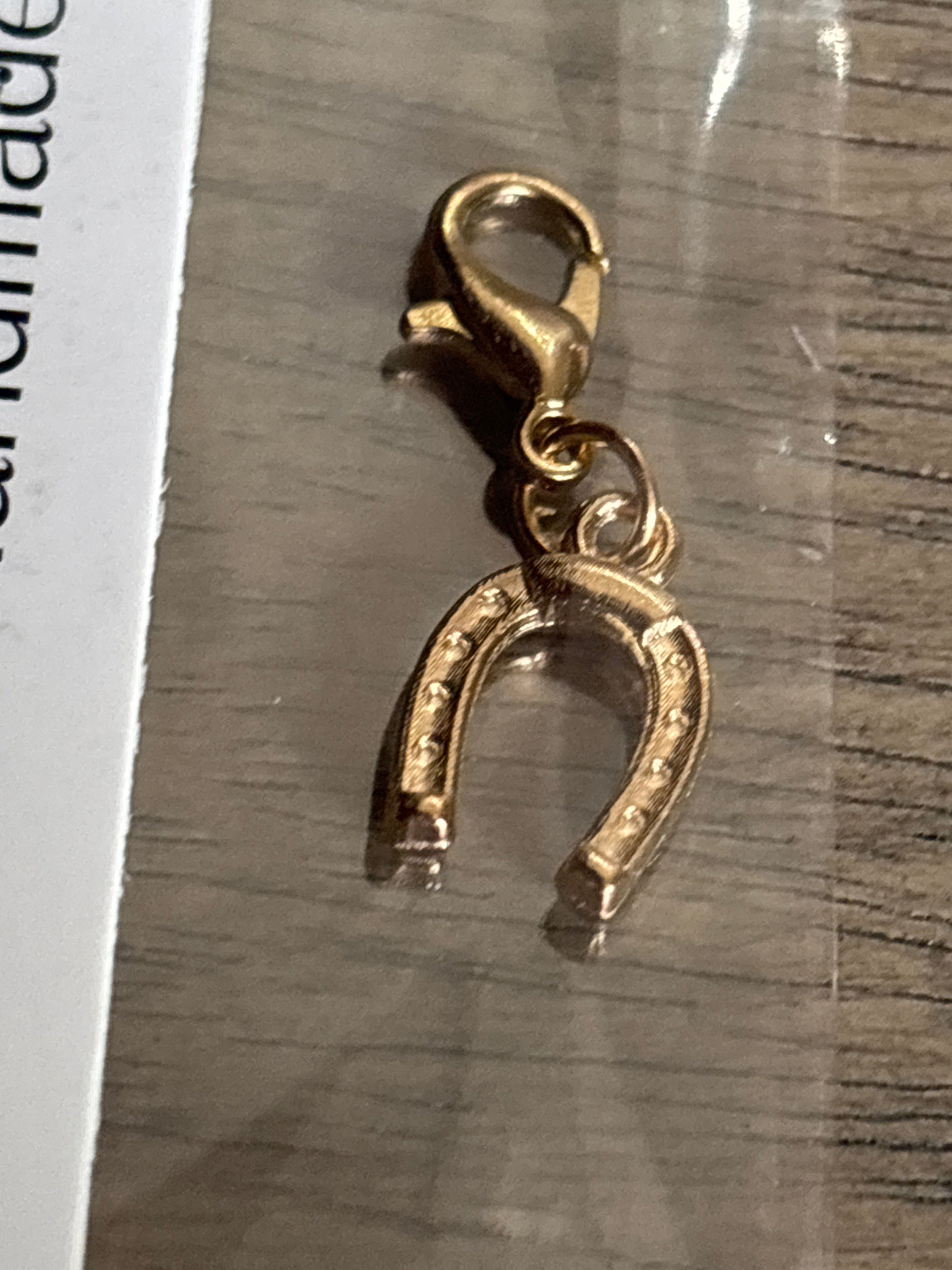 Gold horseshoe charm