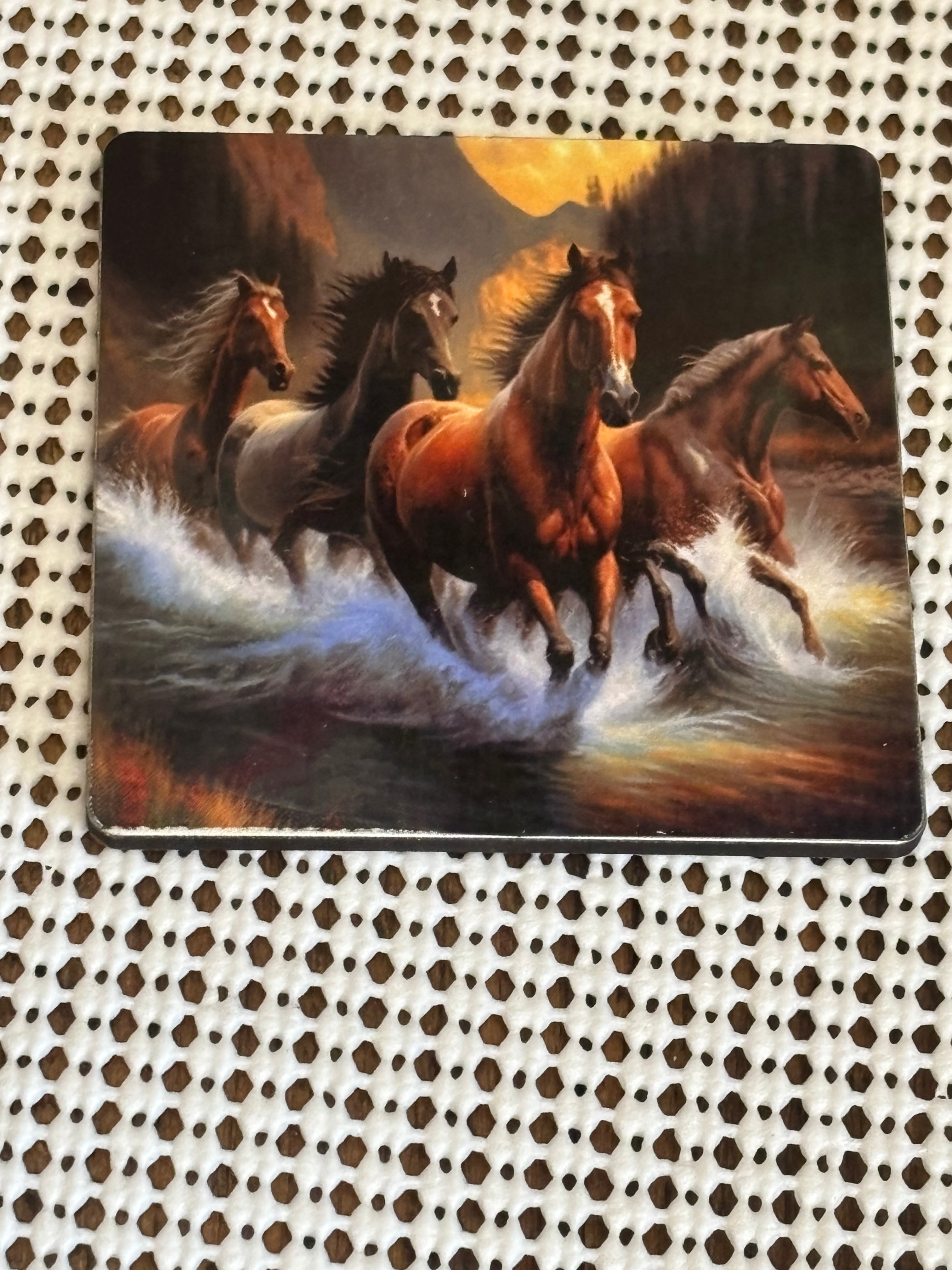 Horse magnet